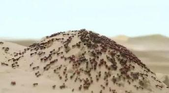 國產(chǎn)你懂的網(wǎng)站,內(nèi)容豐富，暗藏玄機(jī)