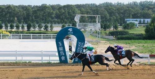 國產(chǎn)無馬,引領(lǐng)綠色出行新潮流